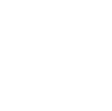 iconp